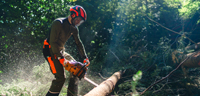 Forst KOX Partner in Forst und Garten