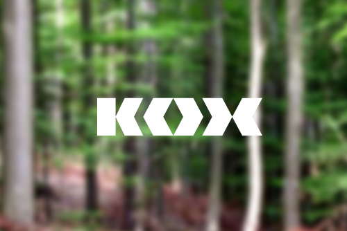 Jonsered 2159 KOX Partner in Forst und Garten