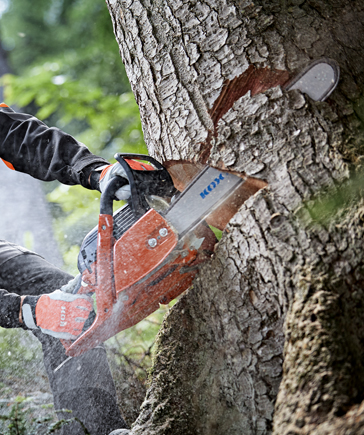 Person sgt mit einer Motorsge von KOX einen Baumstamm an, whrend Holzspne durch die Luft fliegen.