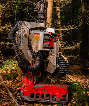 Harvester-Aggregat vom Typ Log Max 5000V im Einsatz an einem stehenden Baumstamm im Forst.