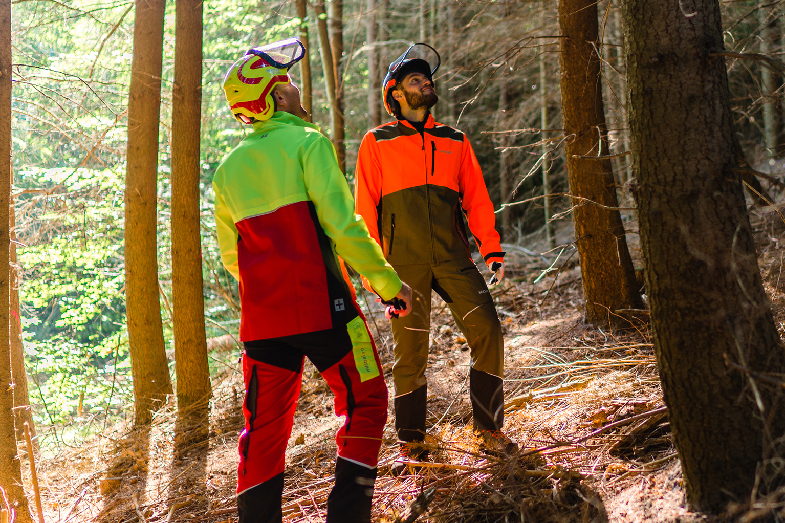 Zwei Forstarbeiter in Schutzkleidung stehen im Wald und blicken nach oben in die B�ume.