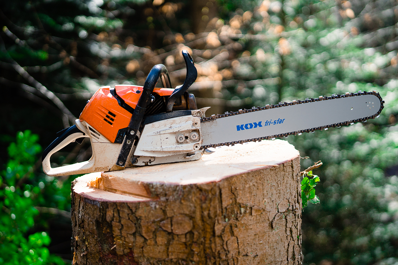 Motors�ge mit KOX tri-star F�hrungsschiene liegt auf einem frisch abges�gten Baumstumpf im Wald.