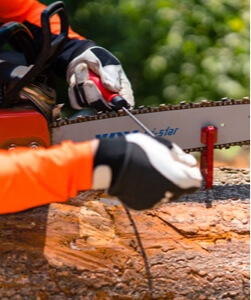 Schrfen leicht gemacht - Schritt fr Schritt Schrfanleitung