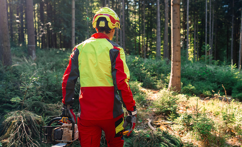 Eine Person in gelb-roter Schutzkleidung steht mit Motors�ge im Wald.