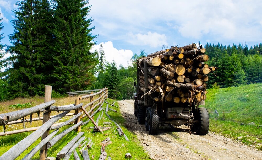 200710_KOX_Blog_Juli_3-1536x816