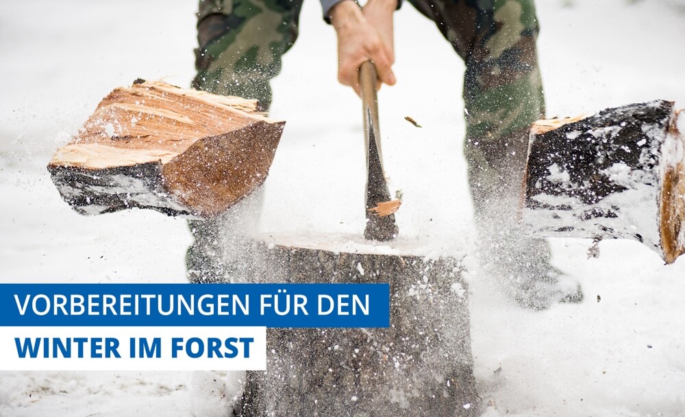 Vorbereitung fr den Winter im Forst