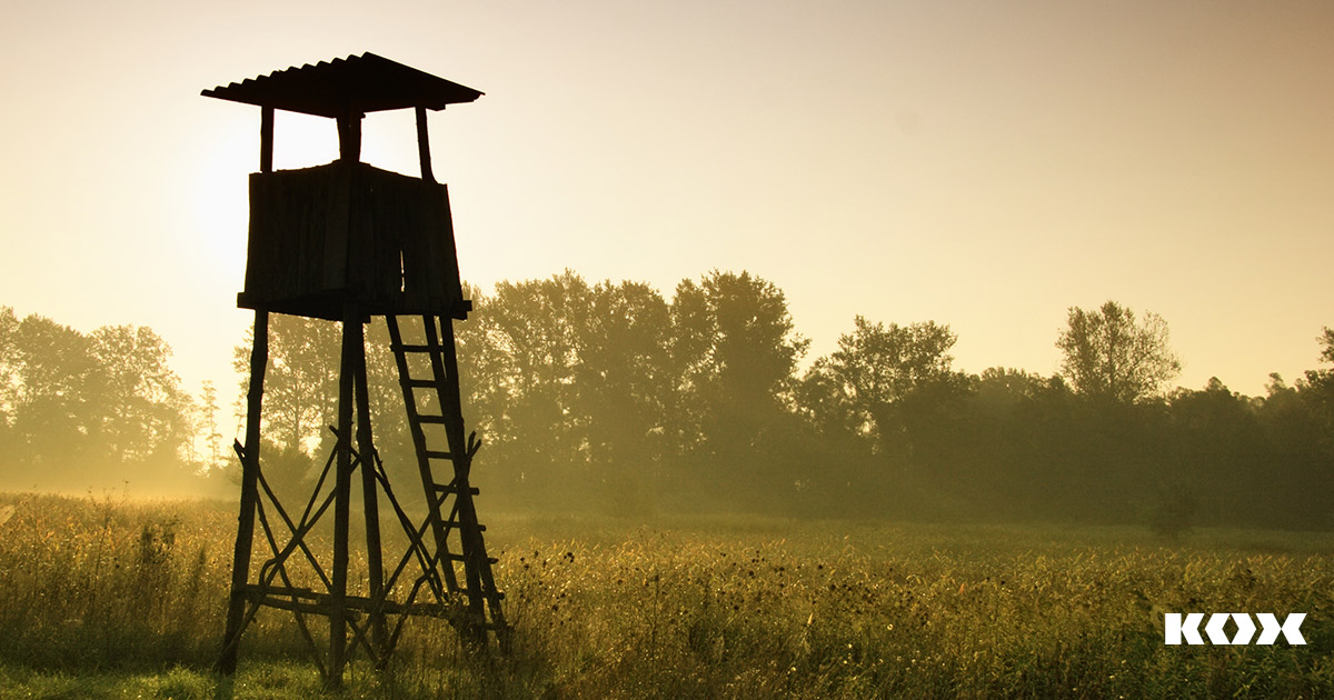 Revierarbeiten &#8211; Hochsitze prfen und freischneiden