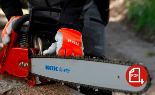 Carving - Das Schnitzen mit der Motorsge