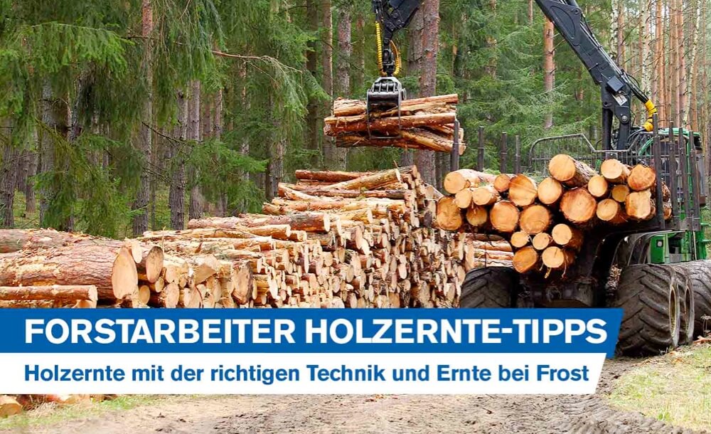 Forstarbeiter Holzernte-Tipps: Holzernte mit der richtigen Technik am Steilhang und Ernte bei Frost