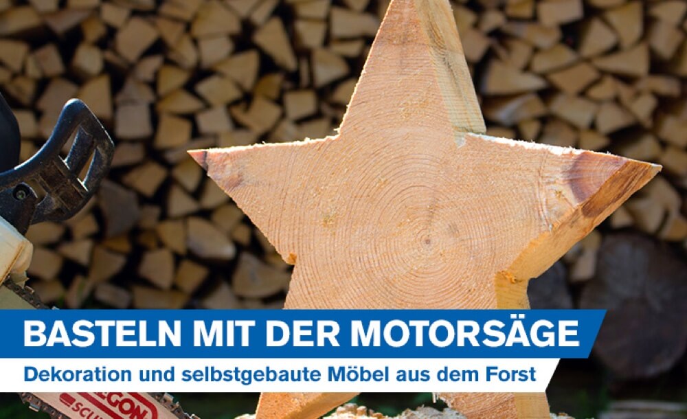 Basteln mit der Motorsge: Kreative Geschenke, rustikale Dekoration und selbstgebaute Mbel aus dem Forst