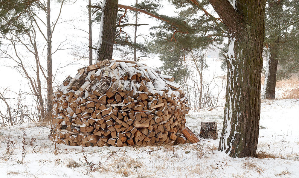 umwelt-brenndauer-lagerung-trocknen-tipps-lagern-brennholz-holzarten-holz-verfeuern-