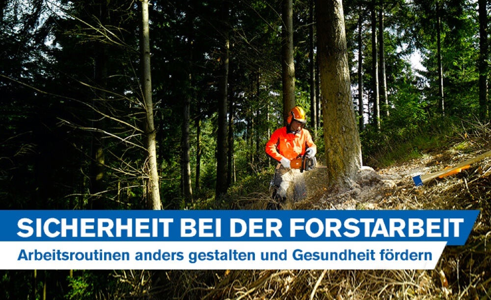 Sicherheit bei der Forstarbeit: Arbeitsroutinen ergonomisch gestalten und Gesundheitserhaltung frdern