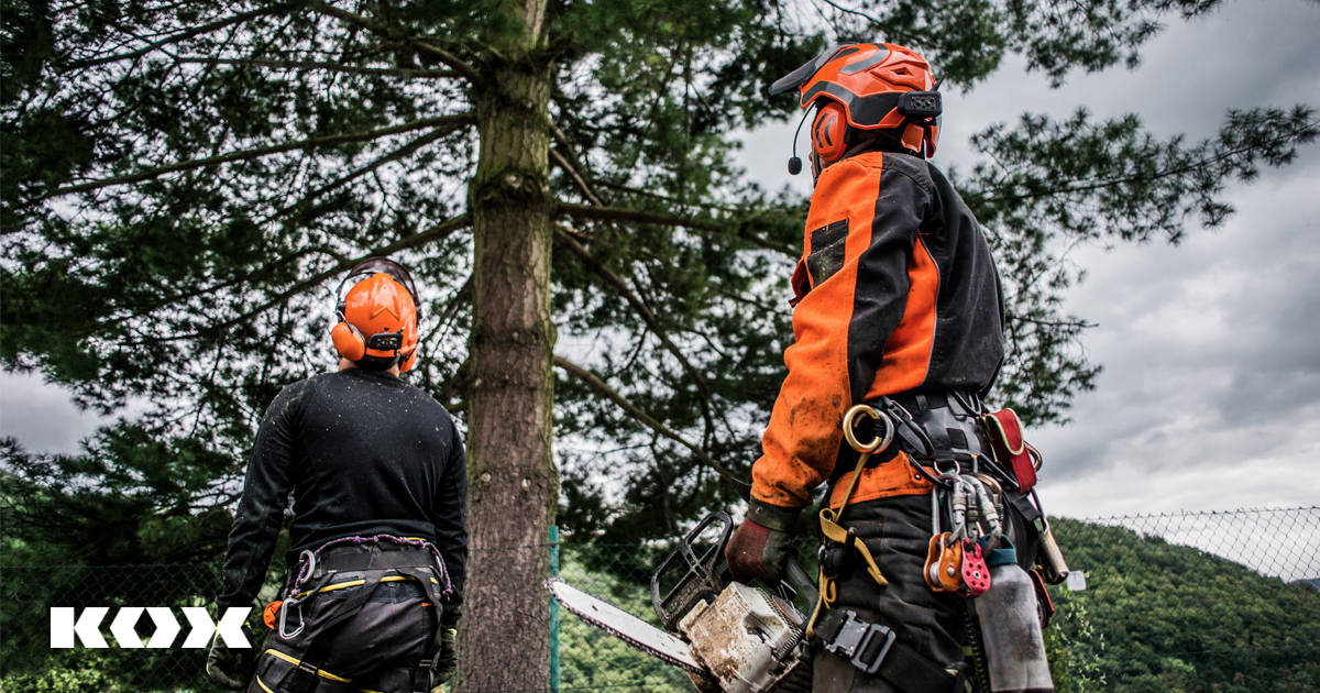 In der Gruppe arbeiten
