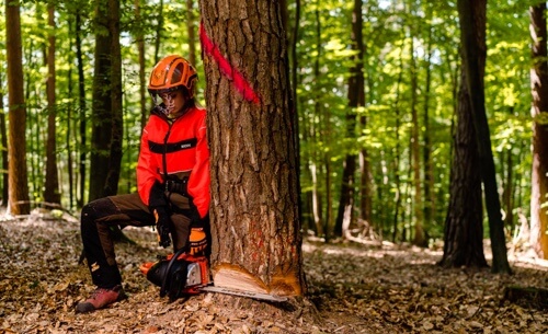 Interview Kerstin Seitz