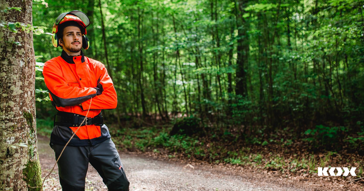 Forstarbeiter-Gruppe-Tipps-Wertstung-Forstarbeit-Baumpflege-Wertholzproduktion-