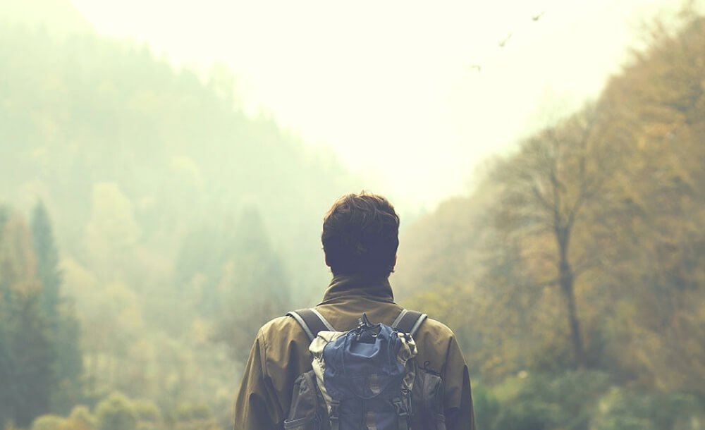 wald-fruehling-abenteuerspielplatz-walderlebnis-walderlebnispfade-tiere-baeume-foerster