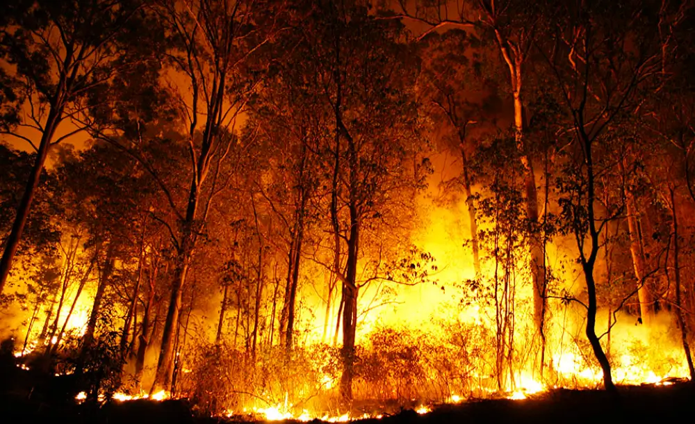 waldbrand-klimawandel-gefahr-risiko-waldbrand-wildfeuer-gefahr-vermeiden-