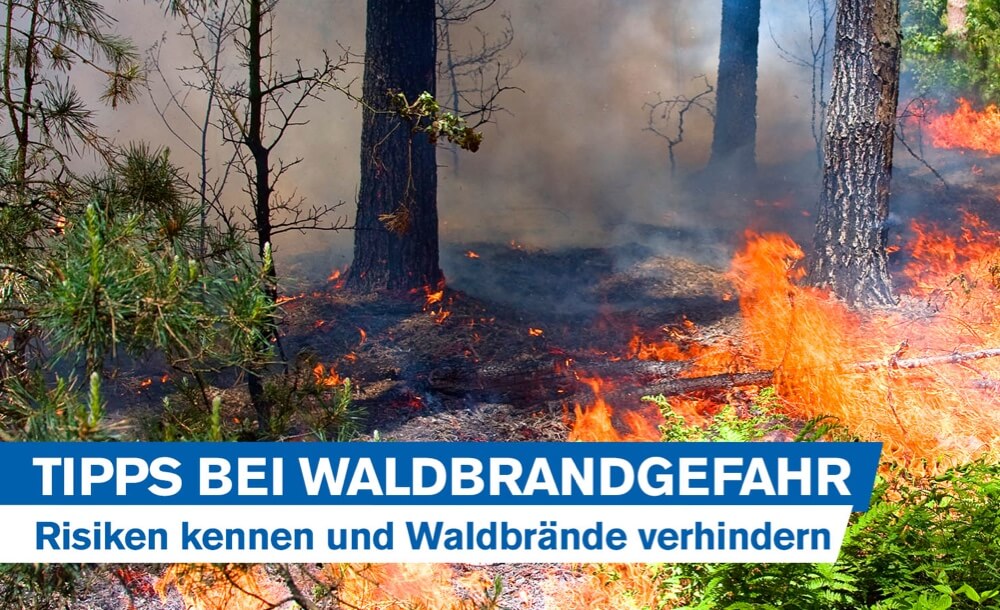 Waldbrandgefahr - Tipps fr Forstarbeiter in Zeiten des Klimawandels: Risiken kennen und Waldbrnde verhindert