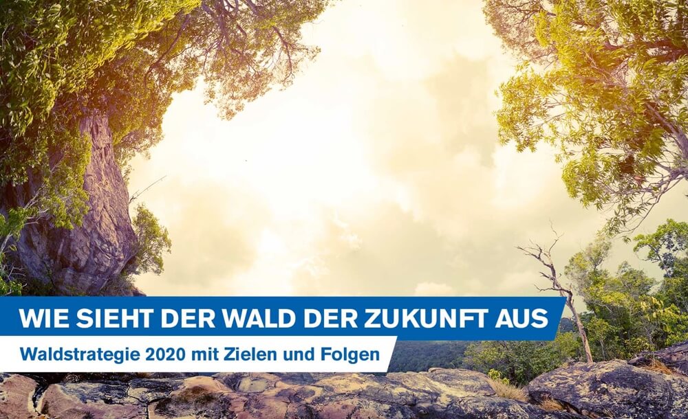 Wie sieht der Wald der Zukunft aus? Waldstrategie 2020 mit Zielen und Folgen fr die Forstwirtschaft