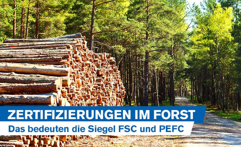 Tipps Zertifizierungen im Forst: Dadurch zeichnen sich die beiden Siegel  FSC und PEFC aus