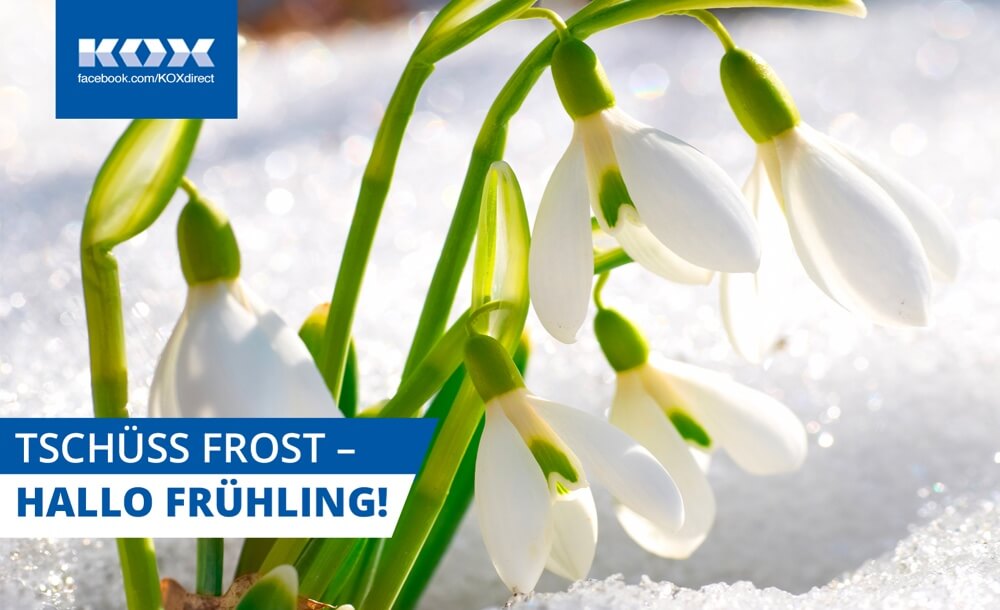 Tschss Frost - hallo Frhling