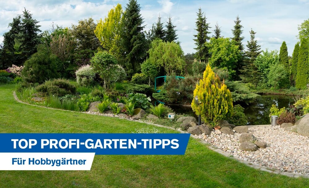 KOX Partner in Forst und Garten