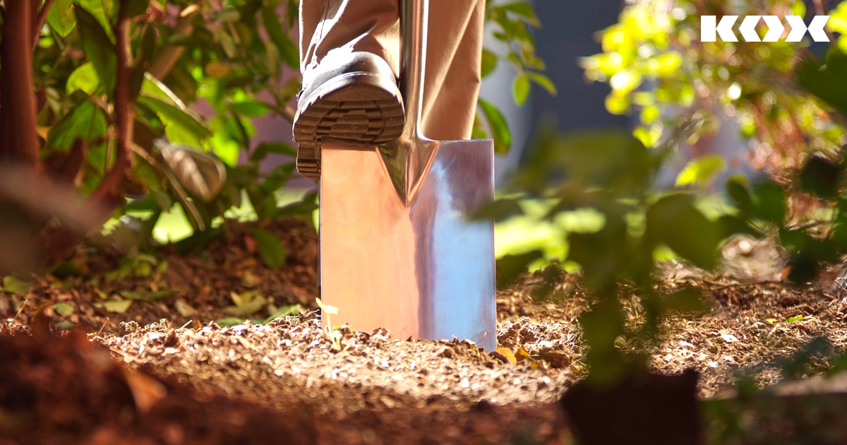Was hilft gegen Nacktschnecken im Garten? Tipps gegen Schnecken im Garten