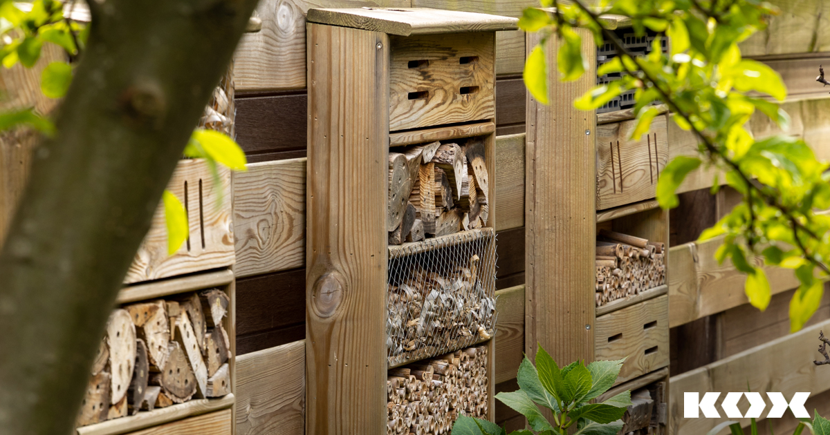 Naturschutz im Garten: Top Tipps fr einen insektenfreundlichen Schrebergarten