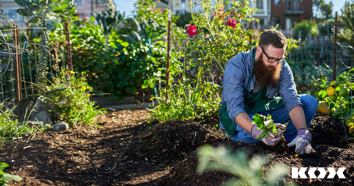 Die wichtigsten Garten Tipps und Tricks im Sommer: mhen, bewssern, pflanzen, schneiden, shen