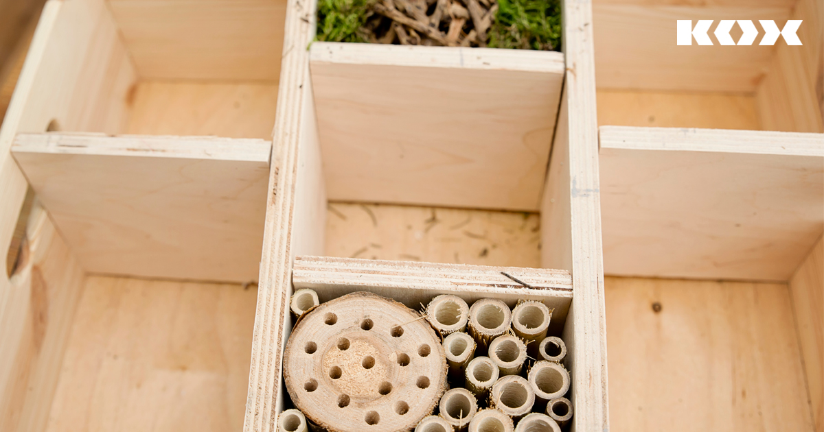 Grundgerst Insektenhotel, Bienenhotel bauen 
