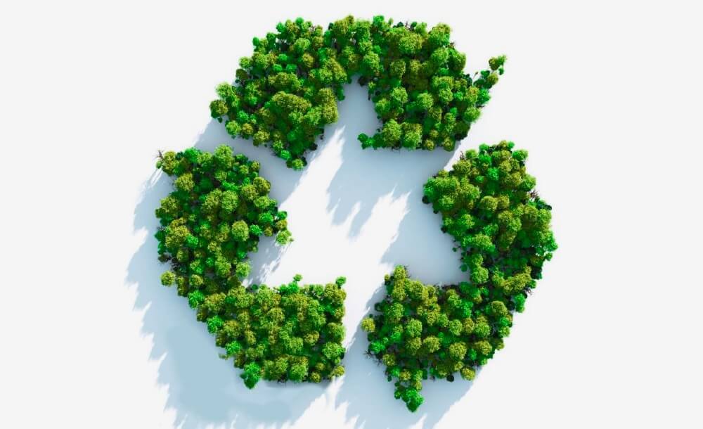 Gartenabflle richtig entsorgen