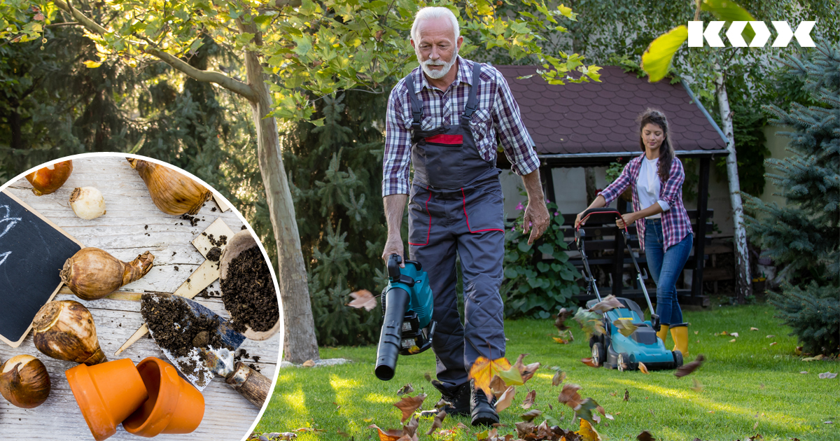Top 5 Tipps für Gartenarbeiten im Herbst Garten Checkliste für den