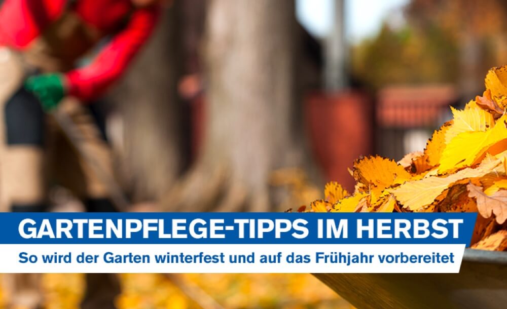 Gartenpflege-Tipps im Herbst: So wird der Garten winterfest gemacht und auf  das Frühjahr vorbereitet