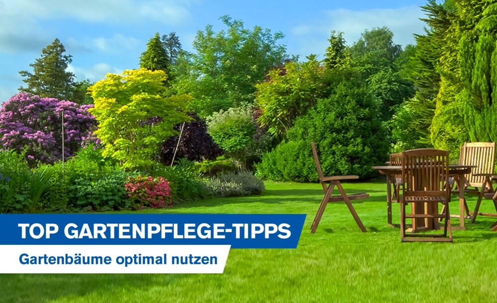 Top Gartenpflege-Tipps fr Bume im Garten: Gartenbume optimal nutzen, richtig pflanzen und pflegen
