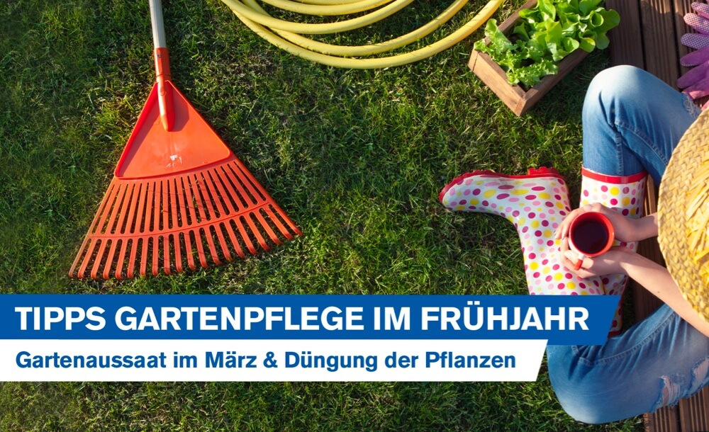 Tipps für die Gartenpflege im Frühjahr Gartenaussaat im März und