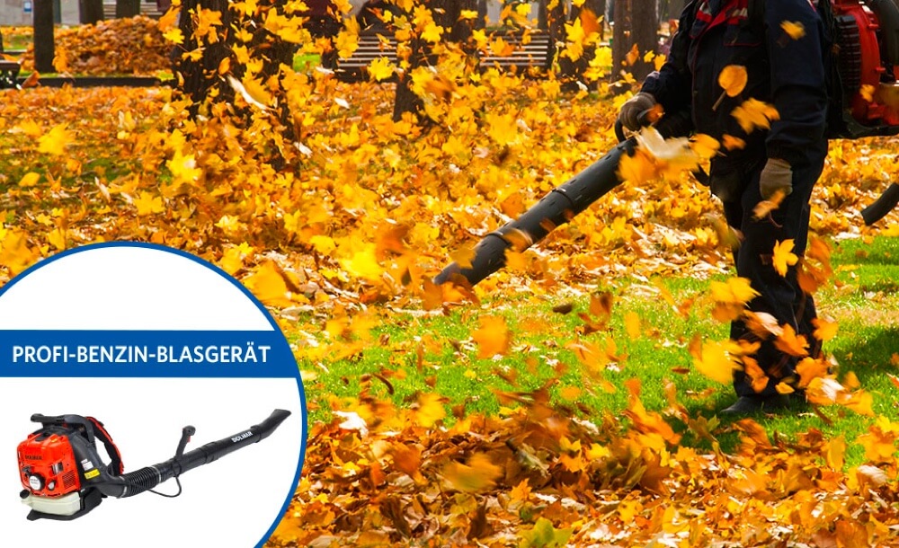 laub-garten-welke-blaetter-sammeln-frostschutz-entsorgen-winterfest-schaeden-verhindern-tiop-tipps