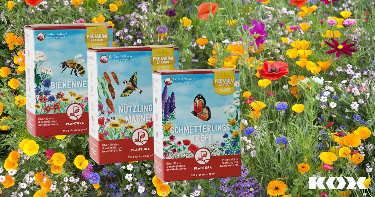 Insektenfreundliches Saatgut