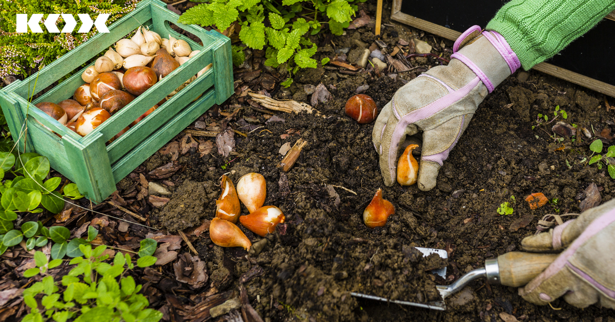 Top 5 Tipps für Gartenarbeiten im Herbst Garten Checkliste für den