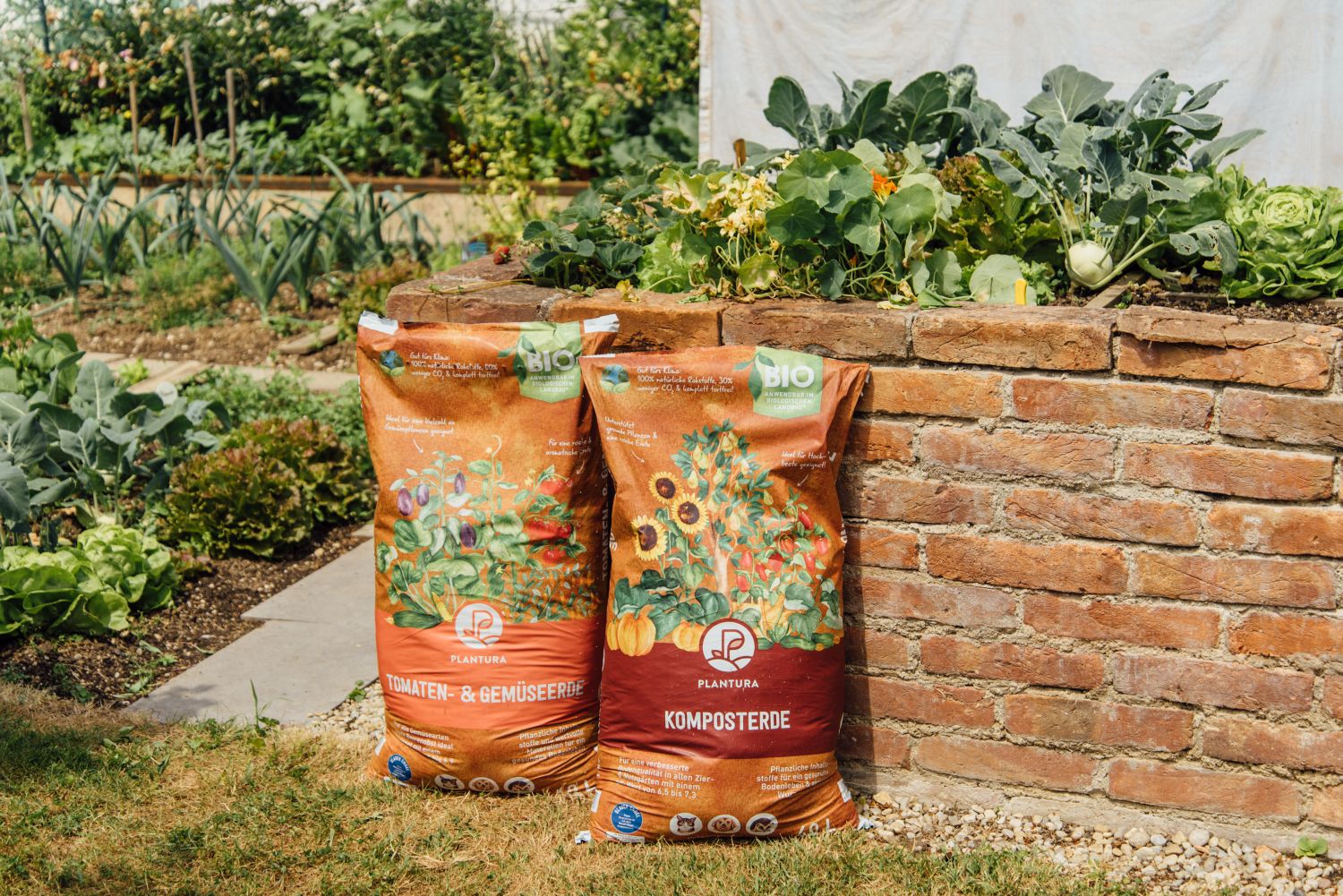 Hochbeete richtig befllen und bepflanzen