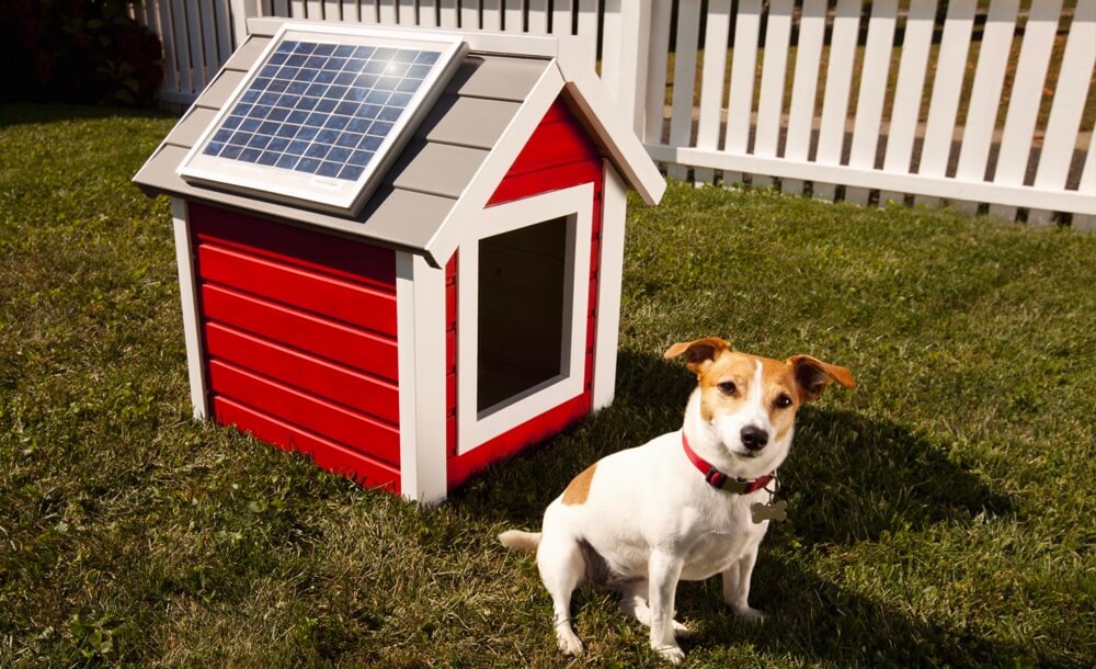 Wie kann man einen Garten solarbetrieben machen?