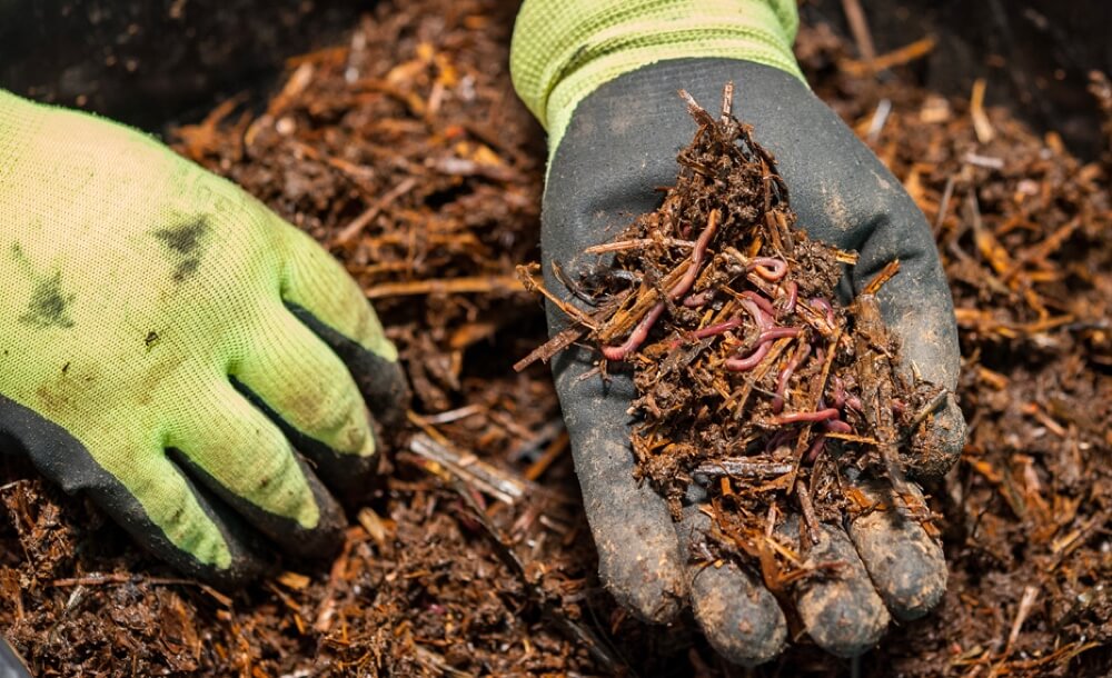 tipps-gartenpflanzen-duengen-gartentipps-gartenpflege-profi-tipps-fruehjahr-naehrstoffgehalt