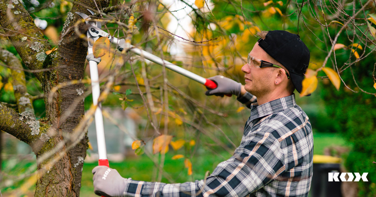 Felco Scheren im Vergleich