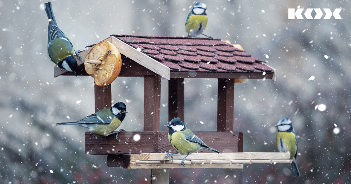 Vogelhuschen und Nisthilfen