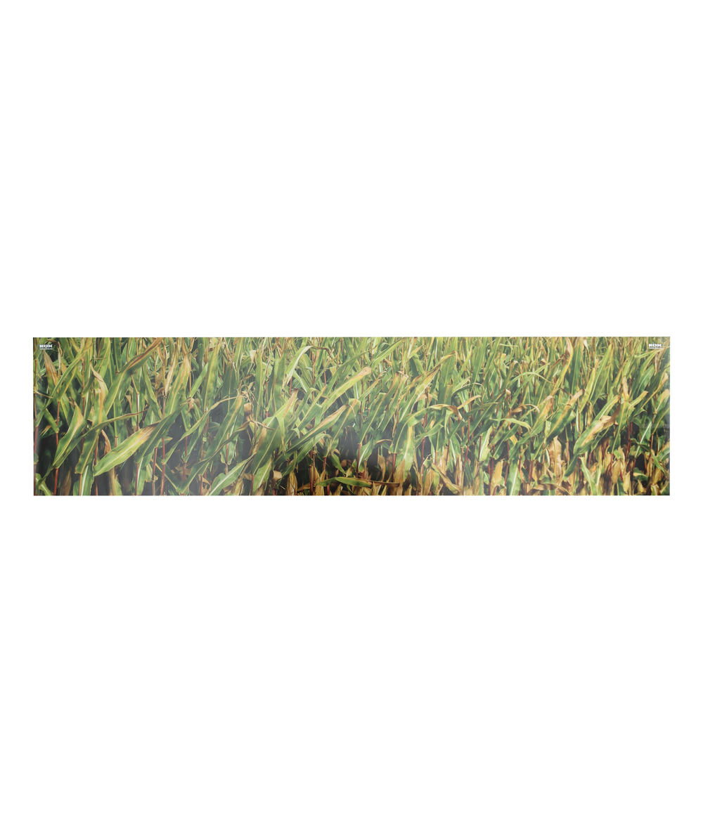 KOX Tarnnetz Mais 4 x 1 m ohne sen, zur Abdeckung von Hochsitzen im Mais-Feld, XX9757